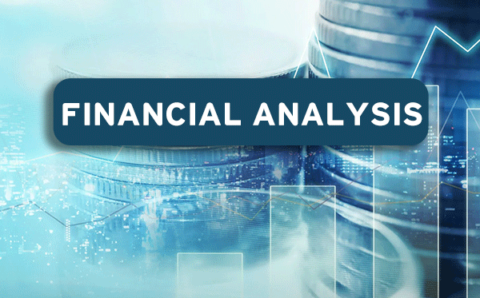 03 Financial Analysis